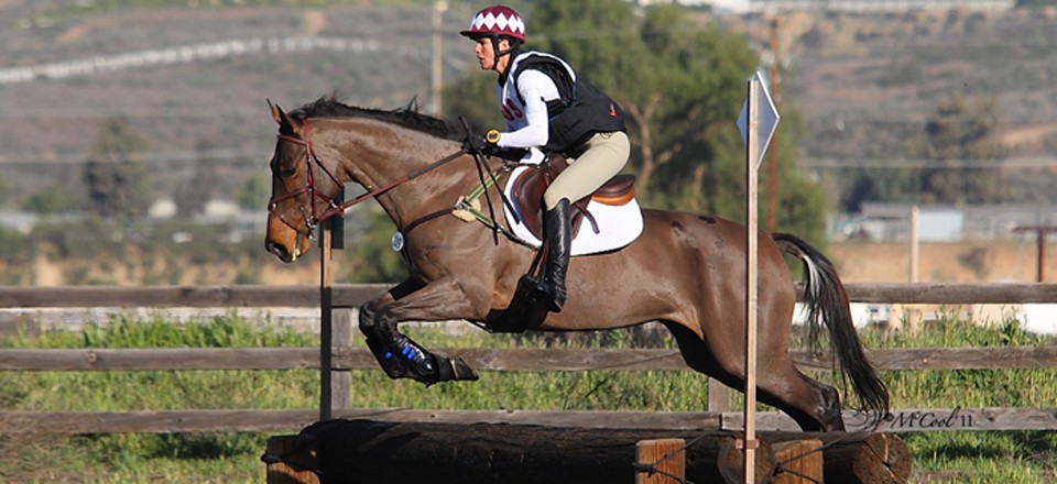 Camps and Clinics